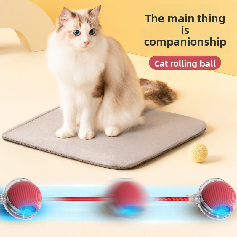 Cat teaser toy ball Pets Products
