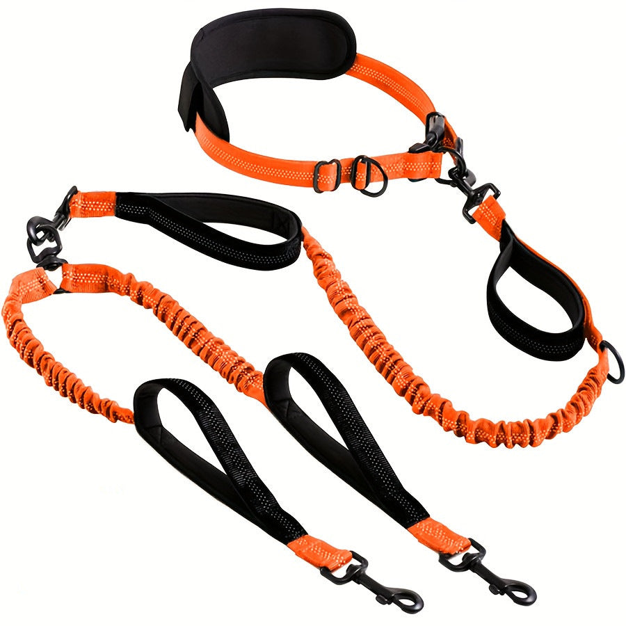 Dual Head Retractable Dog Leash