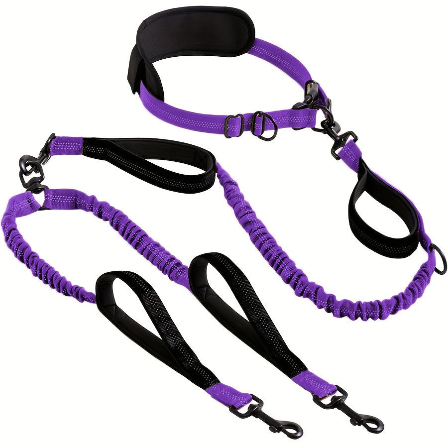 Dual Head Retractable Dog Leash