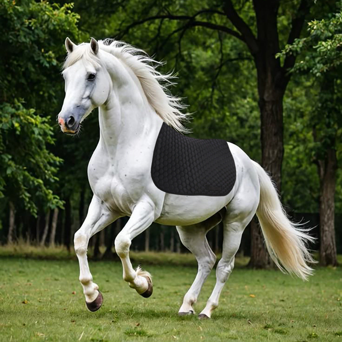Equestrian Nylon Horse Saddle Pad, Seasonal & Gift Items