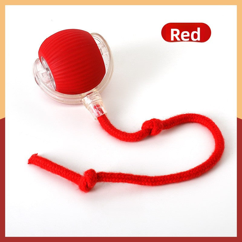 Cat teaser toy ball Pets Products