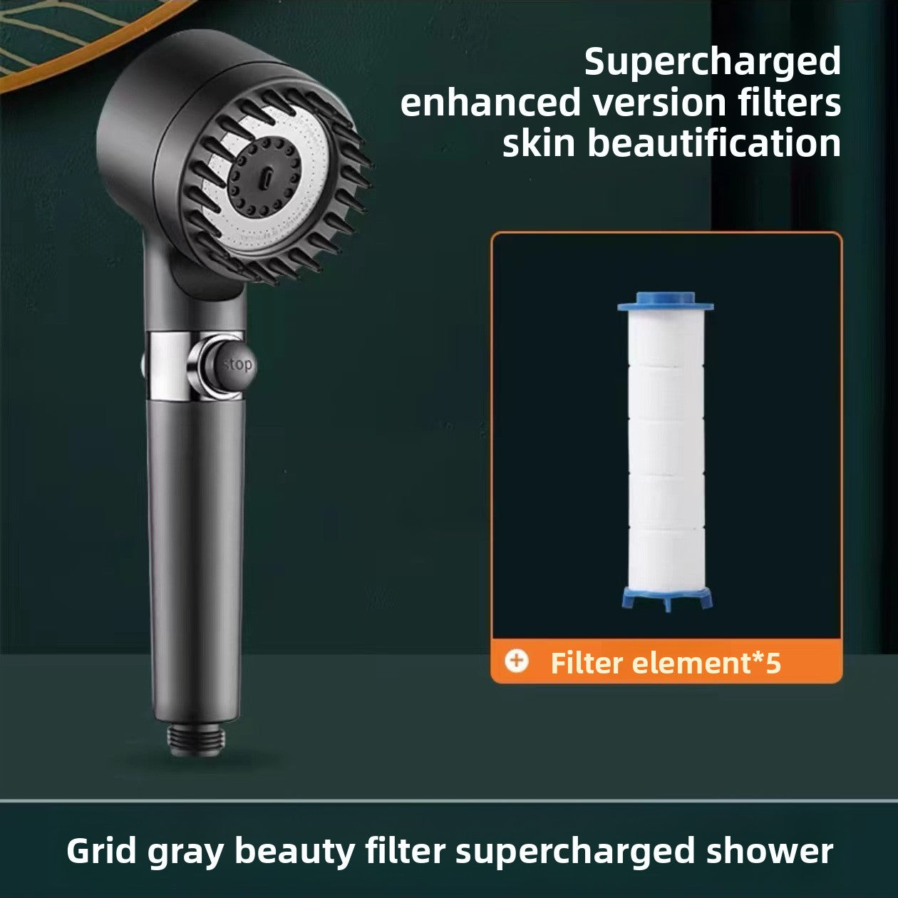 Shower head with water heater