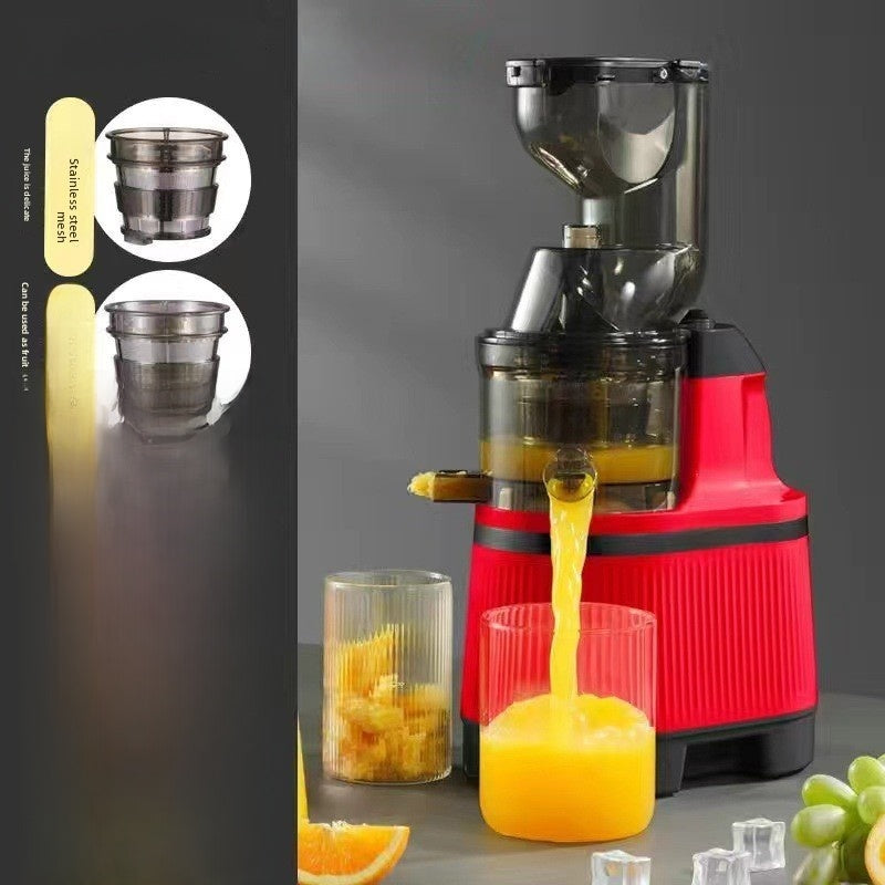 Heavy Duty Stainless Steel Juicer Machine ? Professional Fruit & Vegetable Extractor