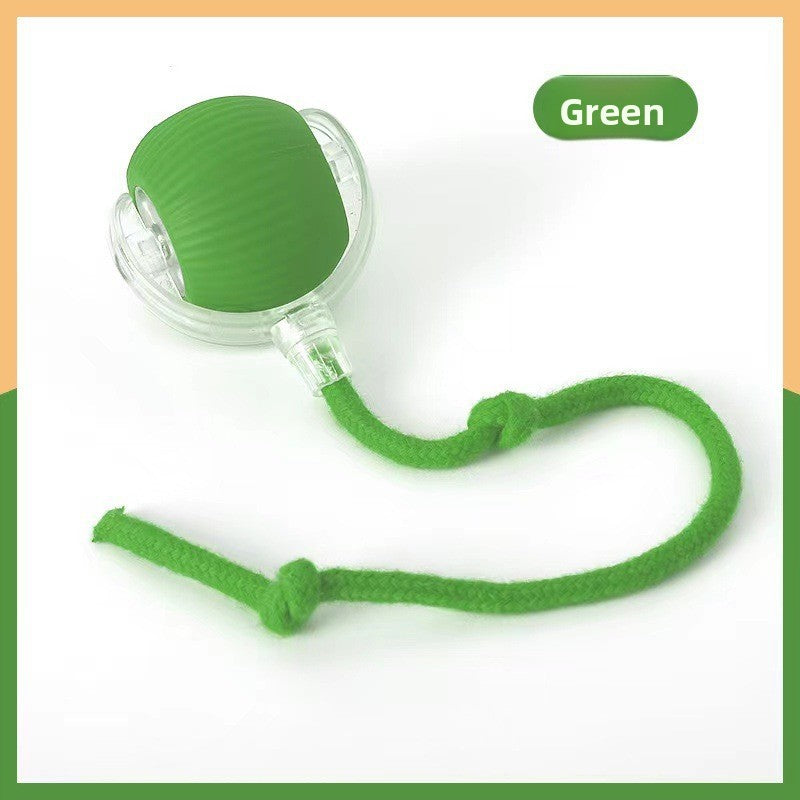 Cat teaser toy ball Pets Products