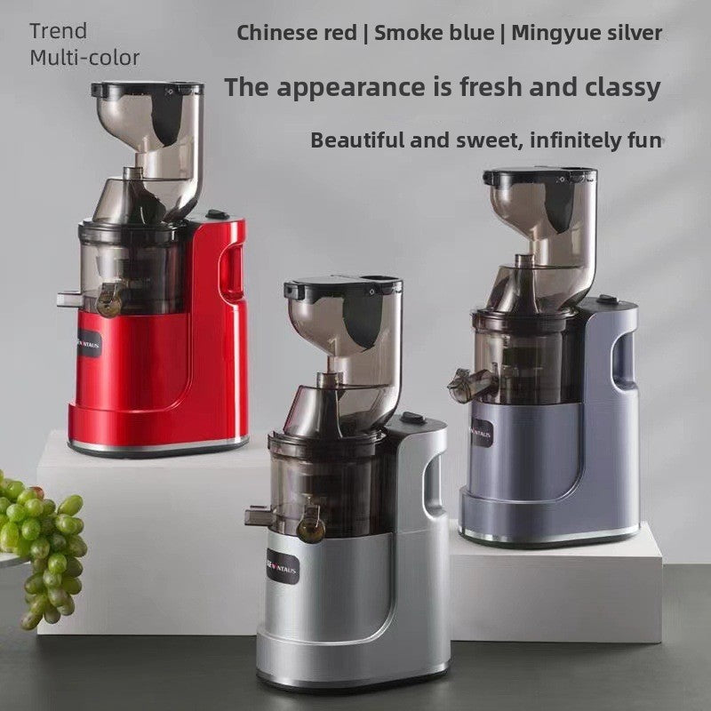 Heavy Duty Stainless Steel Juicer Machine ? Professional Fruit & Vegetable Extractor