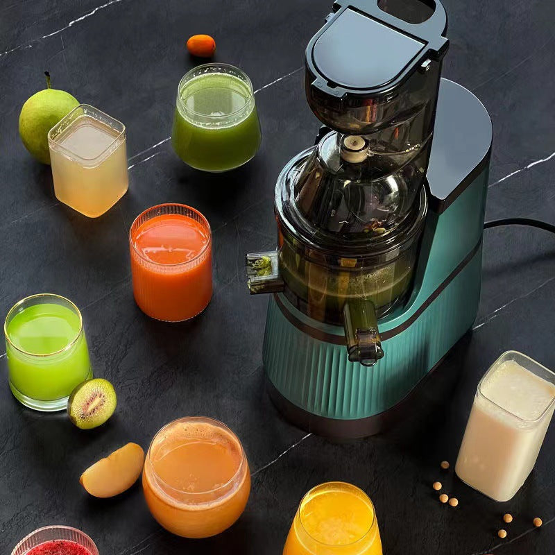 Heavy Duty Stainless Steel Juicer Machine ? Professional Fruit & Vegetable Extractor