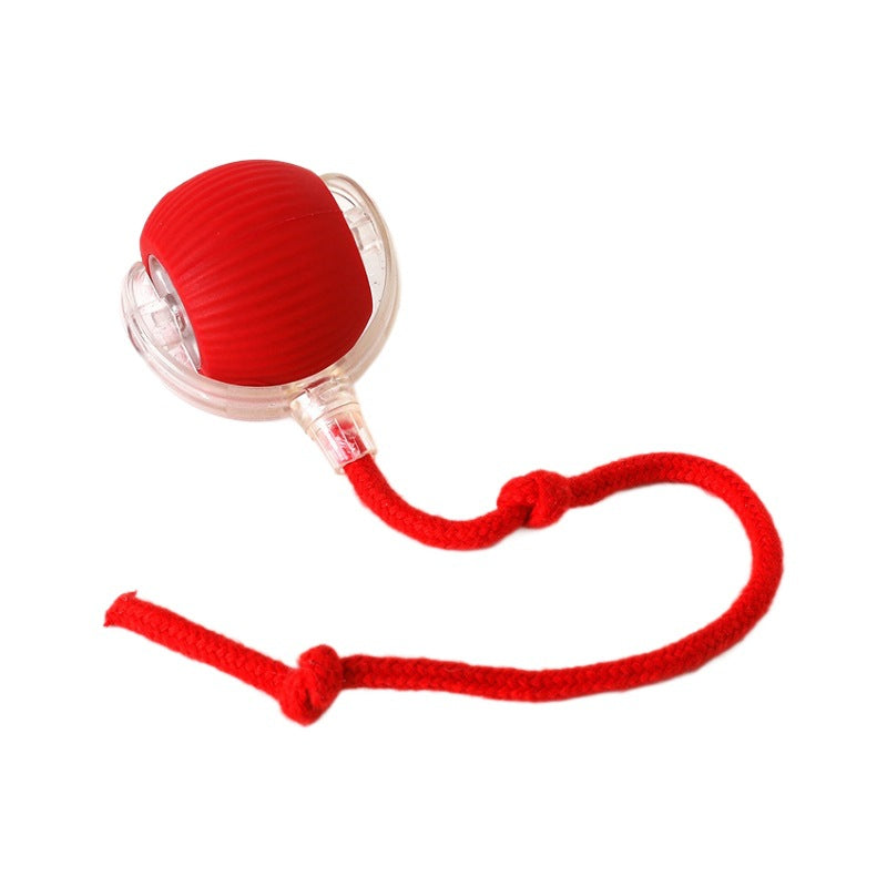 Cat teaser toy ball Pets Products