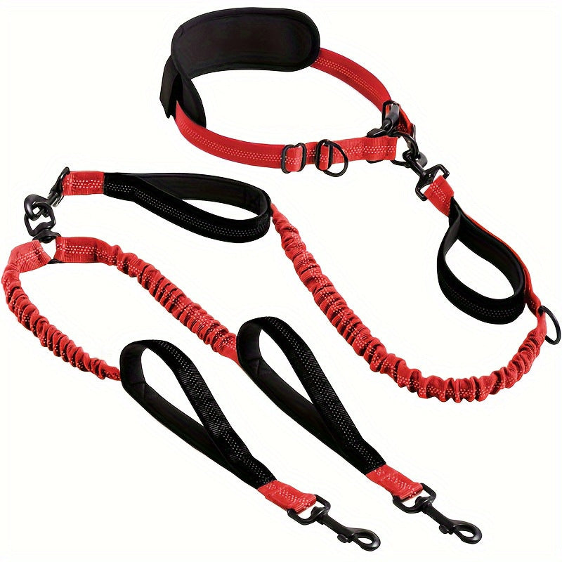 Dual Head Retractable Dog Leash