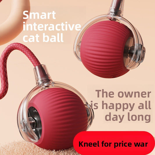 Cat teaser toy ball Pets Products