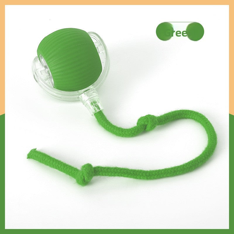Cat teaser toy ball Pets Products