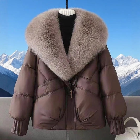 Large-necked cotton-padded jacket, Autumn / Winter Collection