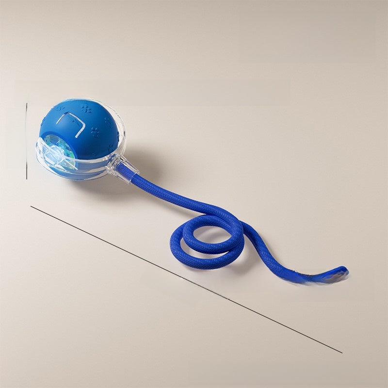 Cat teaser toy ball Pets Products